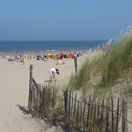 In By Forest & 別荘 ノールトウェイケルハウト　