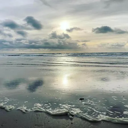 In By Forest & 別荘