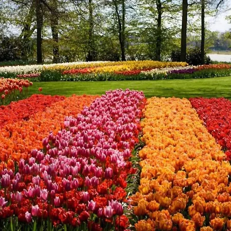 In By Forest & 別荘 ノールトウェイケルハウト　