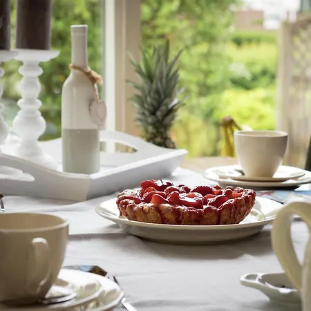 In By Forest & Casa vacanze