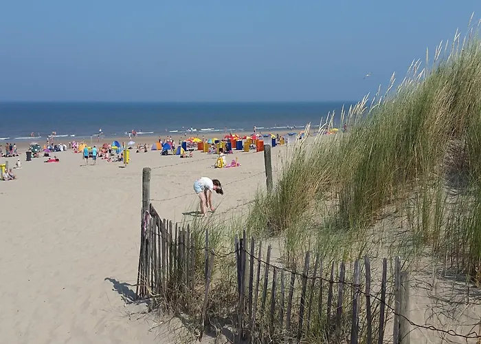 Holiday Home In Noordwijkerhout By Forest & Lake Holiday home Noordwijkerhout