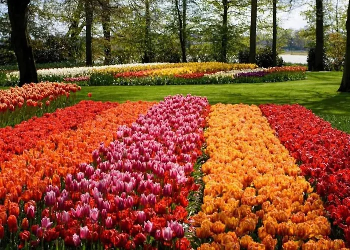 Holiday Home In Noordwijkerhout By Forest & Lake Holiday home Noordwijkerhout