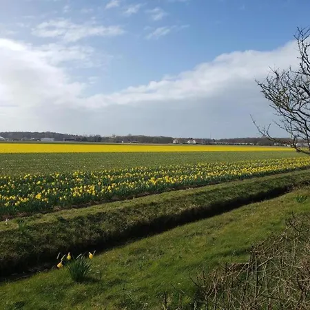 In By Forest & Feriehus