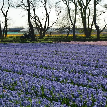 In By Forest & * Noordwijkerhout