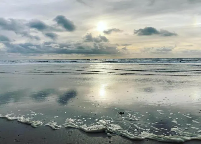 In By Forest & Dom wakacyjny