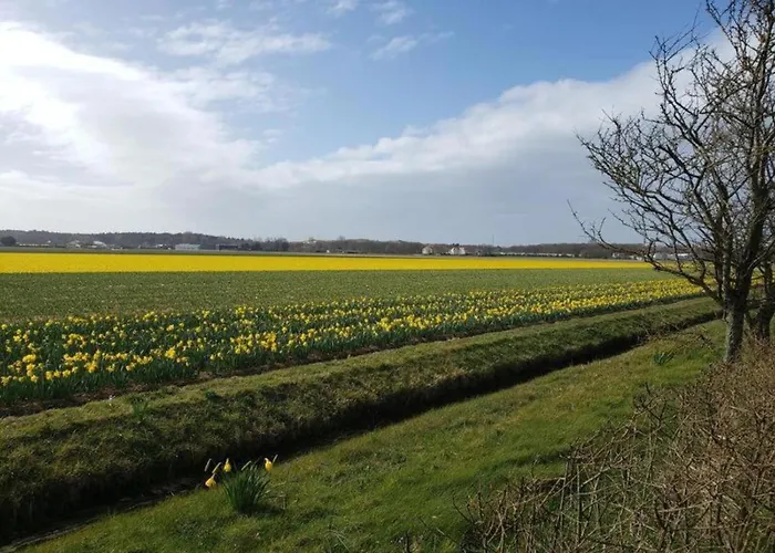 In By Forest & Dom wakacyjny