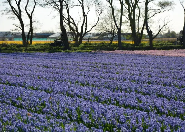 In By Forest & * Noordwijkerhout